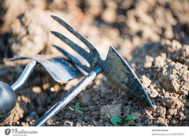 In the garden Garden Gardening Tool Shovel Environment Nature Elements Earth Spring Weather Beautiful weather Stone Simple Healthy Happy Brown Green Black Peace