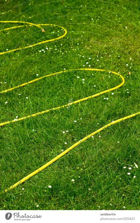 The snake is asleep. Garden Hose Garden hose Water Water hose Grass Meadow Lawn Grass surface Cast Loop Curve Leisure and hobbies Summer Gardening Yellow Fresh