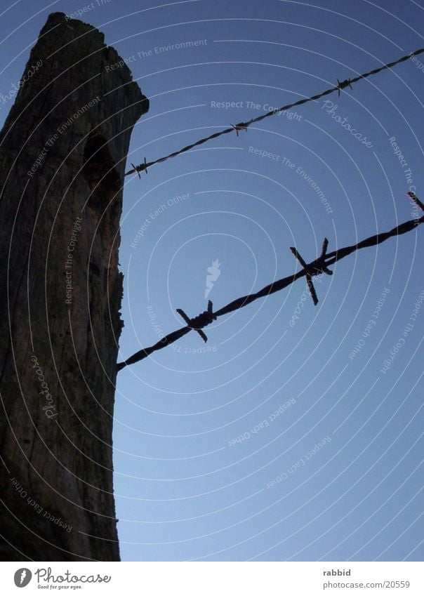 barbed wire fence Barbed wire Fence Barbed wire fence Blue sky Beautiful weather