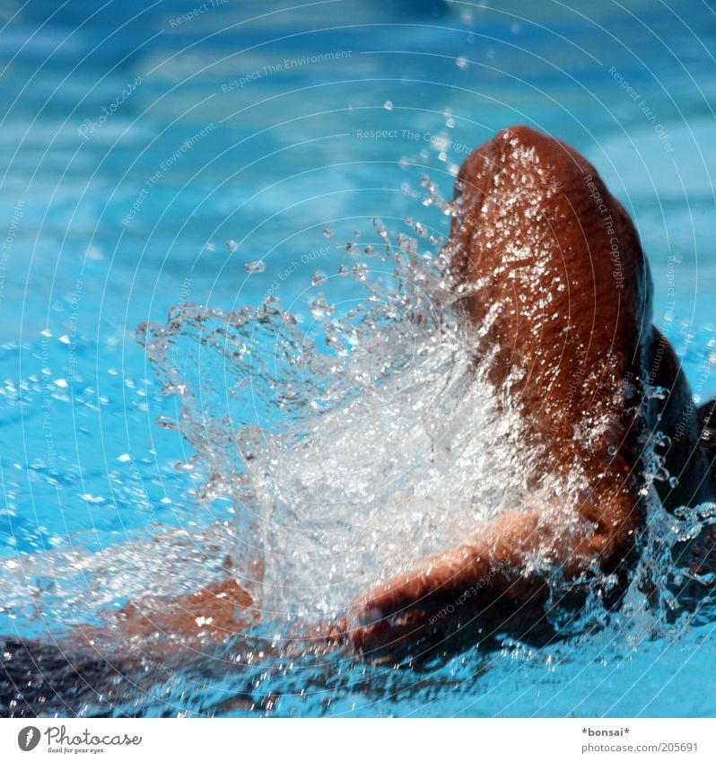 pool boy Swimming & Bathing Summer Fitness Sports Training Swimming pool Masculine Man Adults Arm Hand 1 Human being Water Drops of water Beautiful weather