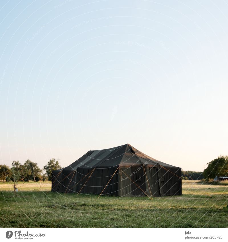 Group cuddling in cosy cosiness Vacation & Travel Trip Camping Summer Sky Plant Tree Meadow Tent Tent camp Relaxation Living or residing Large Spacious Scouts