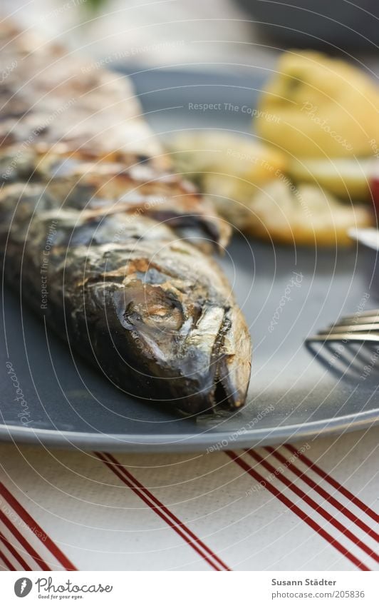 The end of a mackerel Food Fish Nutrition Dinner Banquet Slow food Plate Mackerel Piece of grilled fish Lemon Protein Close-up Detail Deserted