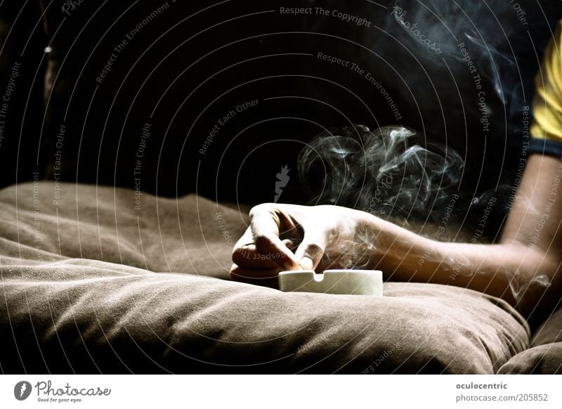 if i could sing your blues Human being Masculine Man Adults Arm 1 Old Smoking Warmth Brown Vice Addiction Death Smoke Ashtray Sofa Cushion billow Hover