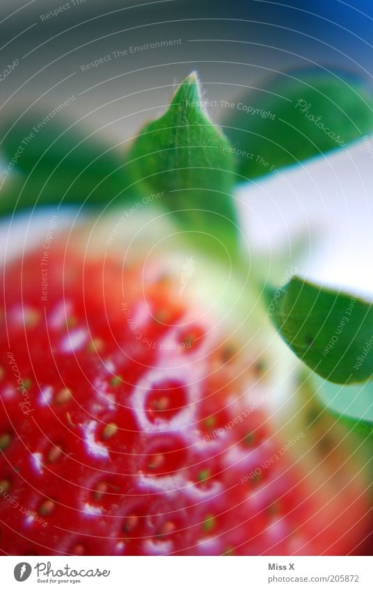 strawberry Food Fruit Nutrition Organic produce Summer Leaf Fresh Healthy Delicious Juicy Sweet Red Mature Strawberry Berries Colour photo Multicoloured