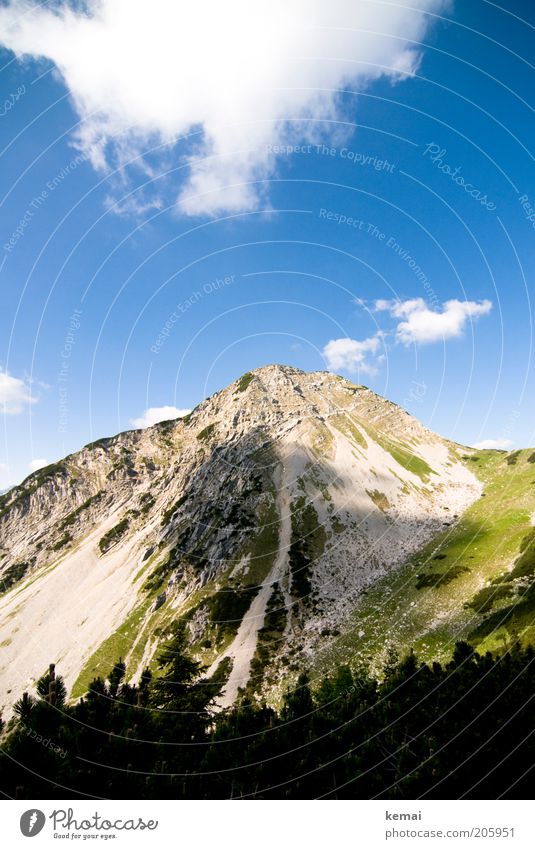 Cloudy Environment Nature Landscape Plant Elements Sky Clouds Sunlight Summer Climate Beautiful weather Warmth Bushes Hill Rock Alps Mountain Peak Gravel Scree