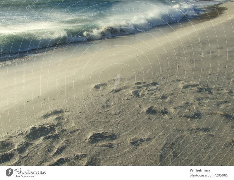 wave me up Environment Nature Elements Earth Sand Air Water Wind Gale Warmth Waves Coast Beach Ocean Colour photo Subdued colour Exterior shot Deserted Twilight