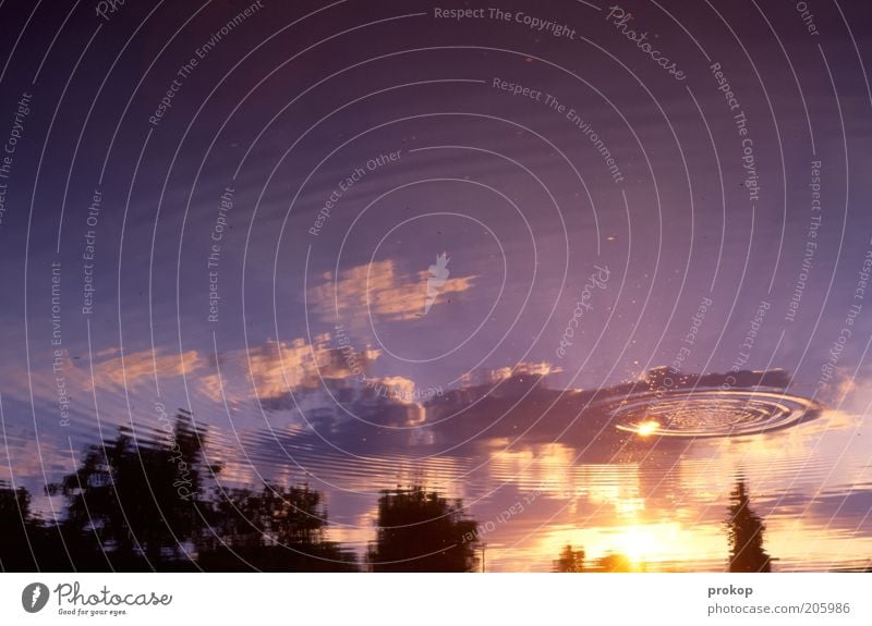 orbital rockfall Environment Nature Landscape Plant Sky Clouds Sun Sunrise Sunset Summer Tree Emotions Moody Calm Relaxation Peace Water Waves Colour photo