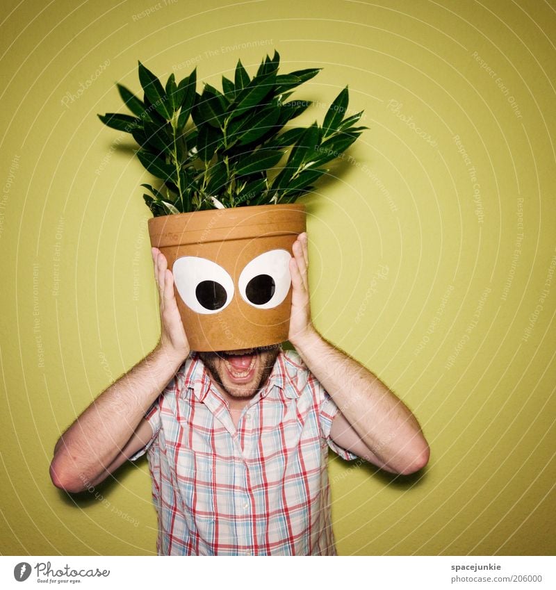 flower head Masculine Mouth Hand Plant Flower Leaf Foliage plant Pot plant Looking Flowerpot Houseplant Eyes Funny Surrealism Hide Hiding place Colour photo