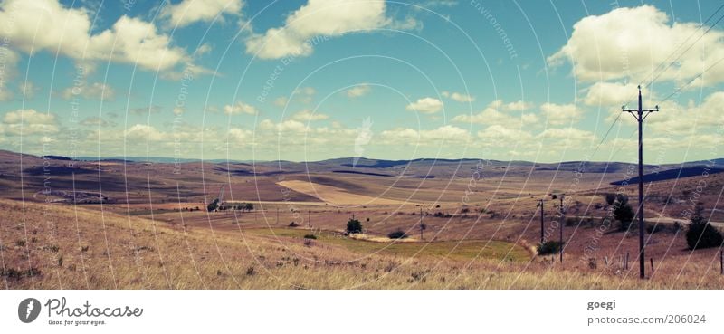 landscape Telegraph pole Electricity pylon Cable Landscape Earth Sky Clouds Horizon Summer Beautiful weather Drought Grass Bushes Hill Street Lanes & trails