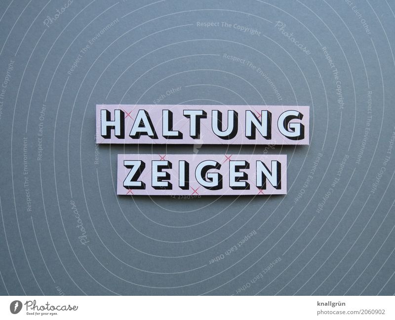 HOLD SHOW Characters Signs and labeling Communicate Sharp-edged Gray Pink Black White Emotions Moody Bravery Self-confident Power Willpower Solidarity