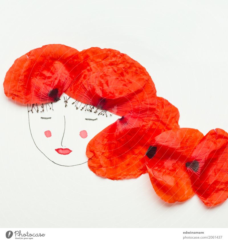 Miss Poppy Leisure and hobbies Handicraft Draw Feminine Nature Plant Blossom Poppy blossom Blossom leave Accessory Red-haired Paper Decoration Illuminate Sleep