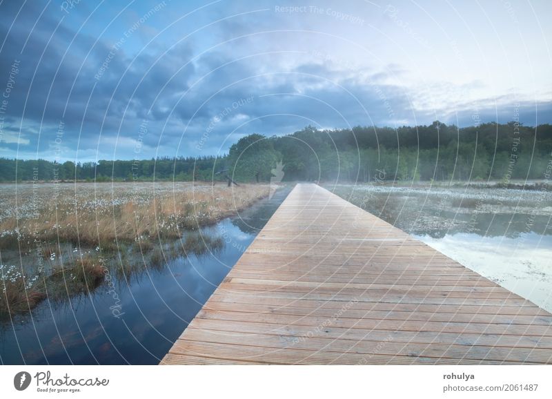 wooden road over lake in morning Summer Nature Landscape Sunrise Sunset Fog Forest Bog Marsh Pond Lake Street Lanes & trails Wood Wild way water Cotton grass