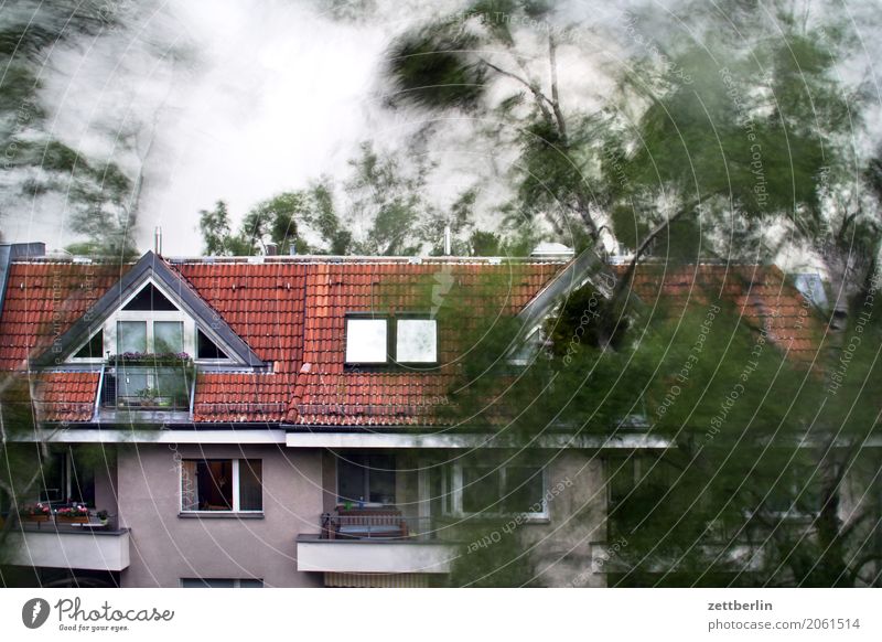 tempest Branch Tree Movement Birch tree Leaf Roof Extreme Extreme situation Threat Dangerous Risk House (Residential Structure) Sky Climate Climate change