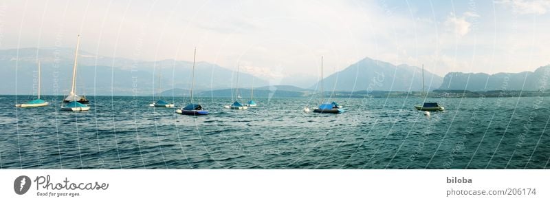 Lake Thun Vacation & Travel Freedom Summer Waves Mountain Nature Landscape Sailboat Sailing ship Watercraft Discover Relaxation Blue Green White Moody