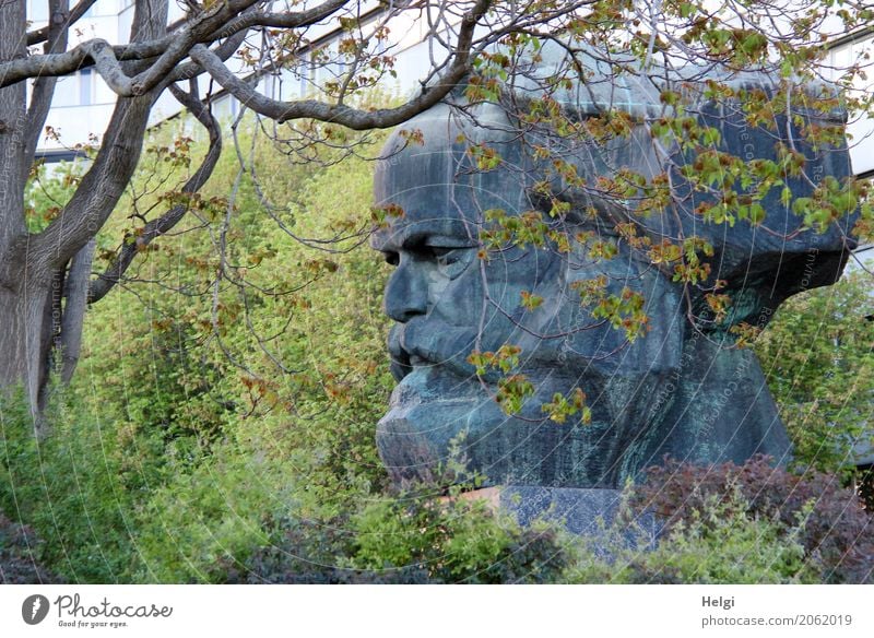 AST 10 | Karl in the green Environment Nature Plant Spring Tree Chemnitz Tourist Attraction Landmark Monument Charles Marx Statue Sculpture Stand Growth