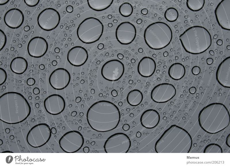 teardrops Elements Water Drops of water Rain Glass Esthetic Simple Fluid Near Wet Beautiful Gray Black Slice Colour photo Black & white photo Interior shot