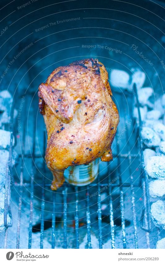 meal Food Meat Chicken Poultry Nutrition Dinner Barbecue (apparatus) Grill Blue Colour photo Copy Space top Contrast Beer can