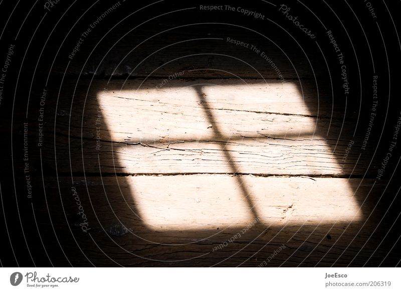 attic find... Window Threat Dirty Dark Beautiful Warmth Geometry Window transom and mullion Floorboards Hallway Wooden floor Skylight Line Attic Colour photo