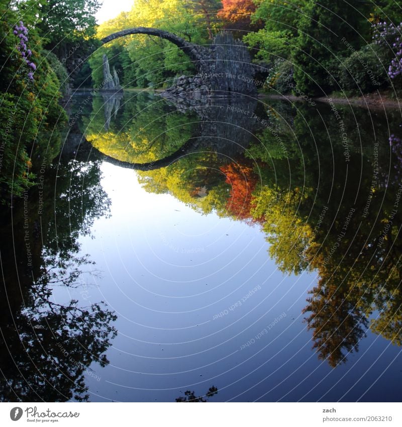 Please mirror... Nature Water Spring Beautiful weather Plant Tree Flower Bushes Rhododendrom Park Lakeside Pond Kromlau Bridge Rakotzbrücke Devil's Bridge Stone