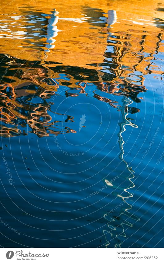 Mirrored boat Environment Sky Sunlight Summer Waves Coast North Sea Boating trip Sail On board Beautiful Uniqueness Wet Blue Multicoloured White Happy Euphoria