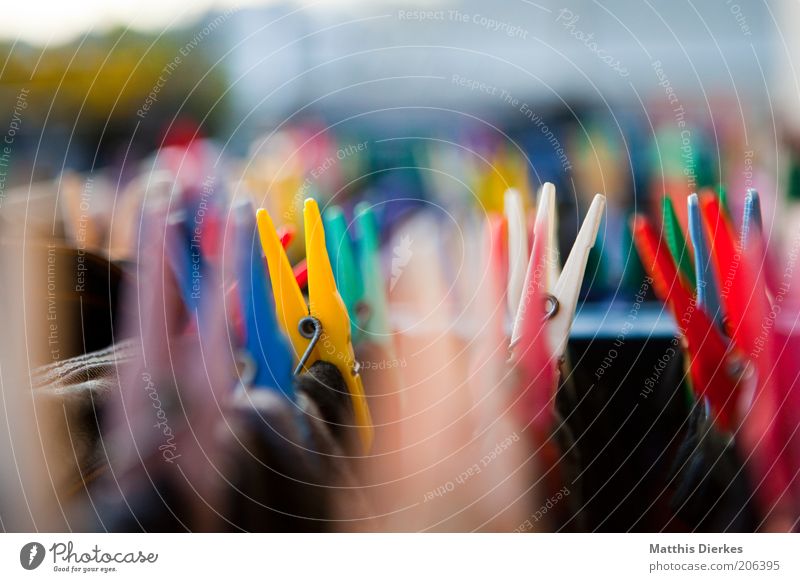 clothespins Fresh Clothes peg Laundry Clean Laundered Clothing Colour photo Exterior shot Blur Shallow depth of field Multicoloured Holder To hold on