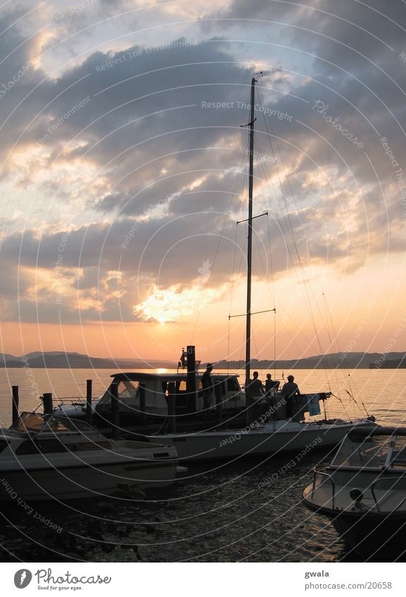 sailing monday Sailing ship Regatta Lake Lucerne Sunset Watercraft Evening sun