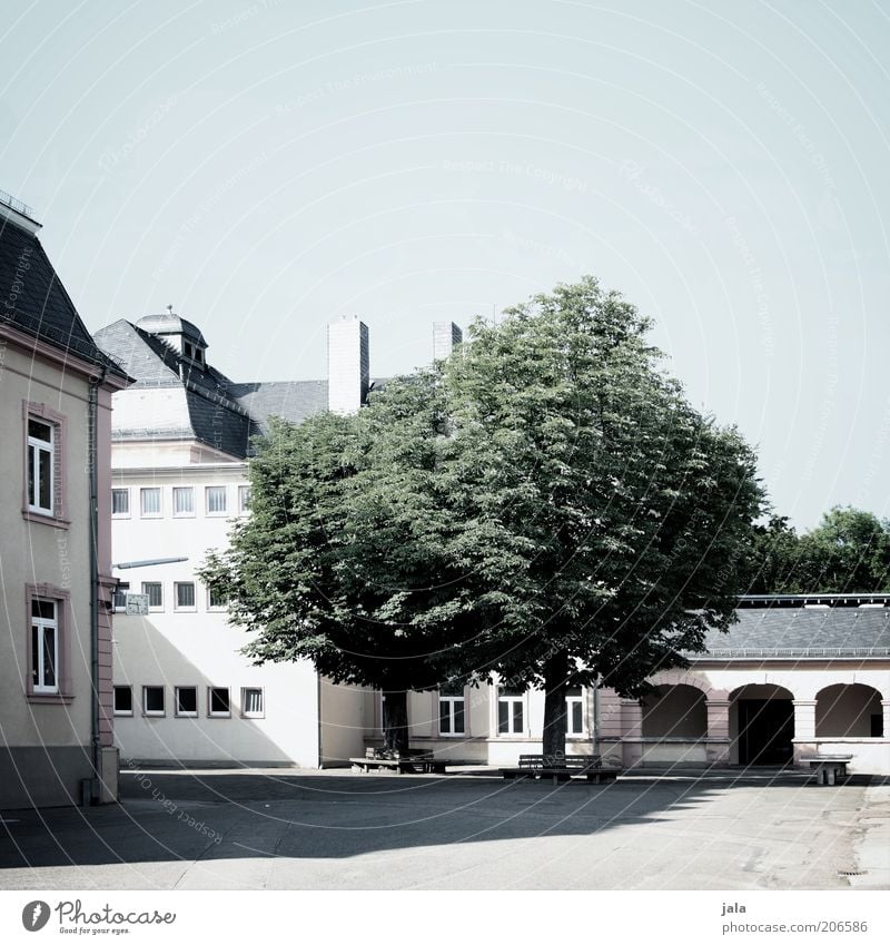 shaded place Sky Tree House (Residential Structure) Places Manmade structures Building Architecture Blue Gray Green White Colour photo Subdued colour