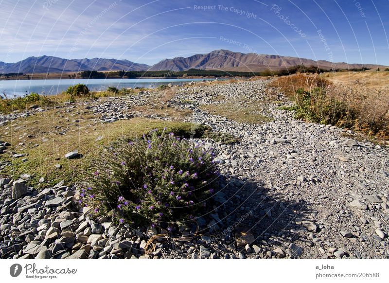 middle earth II Nature Landscape Water Sky Sun Autumn Beautiful weather Grass Bushes Rock Mountain Lakeside Bay Blossoming Growth Warmth Blue Green Esthetic