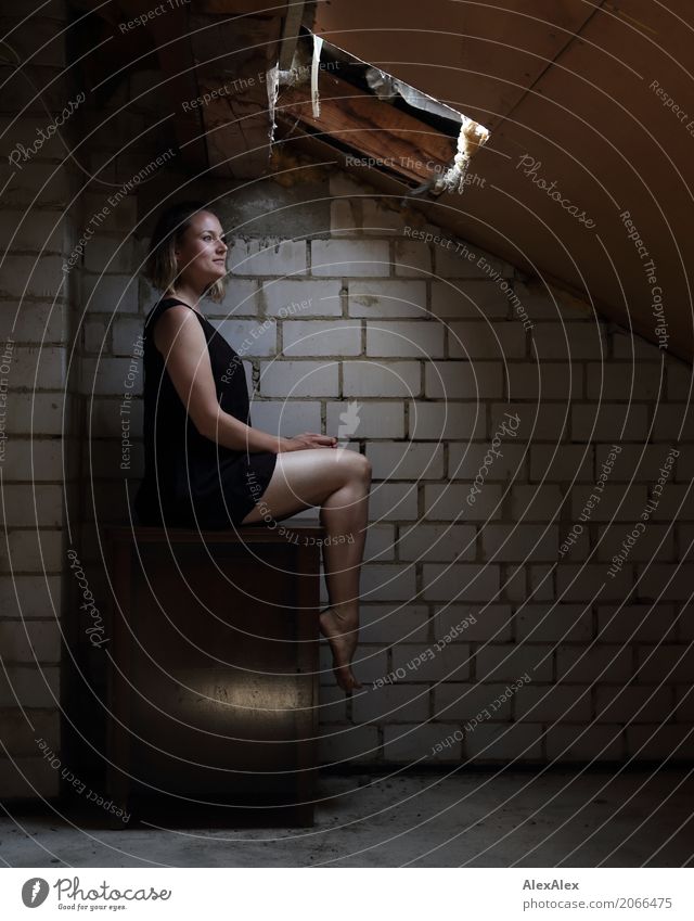 Young woman sitting barefoot in the attic on a cupboard in front of a skylight Exotic pretty Youth (Young adults) Legs Feet 18 - 30 years Adults