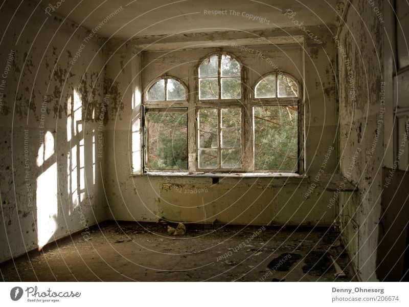 Beelitz sunbeams Sunlight Beautiful weather Deserted Ruin Building Architecture Wall (barrier) Wall (building) Window Stone Wood Old Dirty Creepy Bright Gloomy