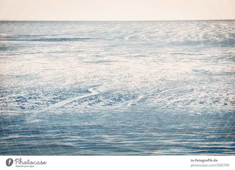 Tide Playground Summer Beach Ocean Waves Environment Nature Landscape Elements Earth Water Sky Horizon Coast North Sea Mud flats North Sea coast Tideway Sand