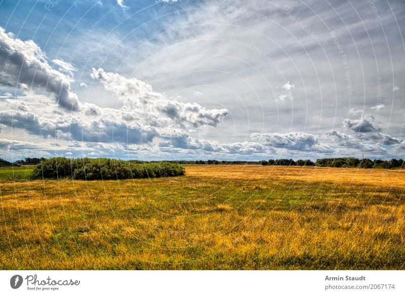 Landscape - Hiddensee Lifestyle Style Vacation & Travel Trip Summer vacation Environment Nature Earth Air Sky Clouds Spring Climate Weather Beautiful weather