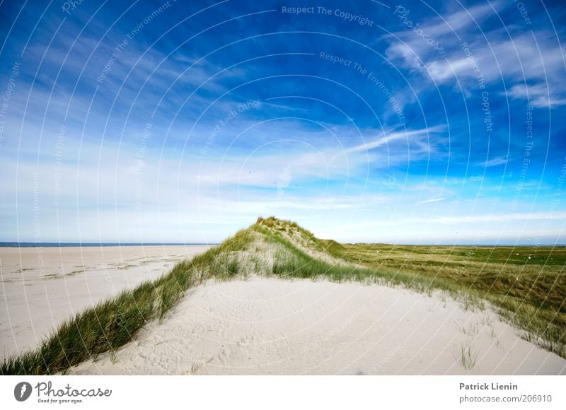 worlds apart Environment Nature Landscape Plant Elements Earth Sand Air Sky Clouds Summer Coast Beach North Sea Ocean Island Beautiful Wanderlust Spiekeroog