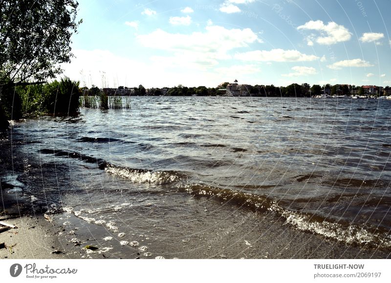 Thanks to Photocase today this: Potsdam shore skyline. Leisure and hobbies Vacation & Travel Tourism Trip Sightseeing City trip Summer Summer vacation Beach