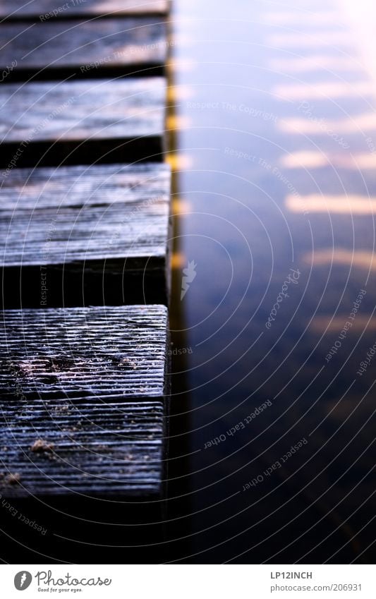 LP "100" INCH Environment Water Wood Dream Footbridge Wooden board Shadow Jetty Surface of water Colour photo Exterior shot Detail Day Blur