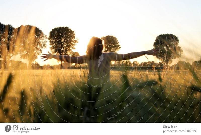 corn rustle Harmonious Sunbathing Feminine Young woman Youth (Young adults) Landscape Field Relaxation Free Gold Joy Happy Rear view Cornfield Warm light Warmth