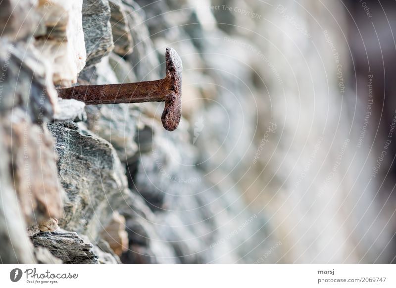 Even a T is sometimes weird... Wall (barrier) Wall (building) Stone wall Nail Metal Rust Old Sharp-edged Historic Gloomy Gray Unwavering Loneliness Bizarre