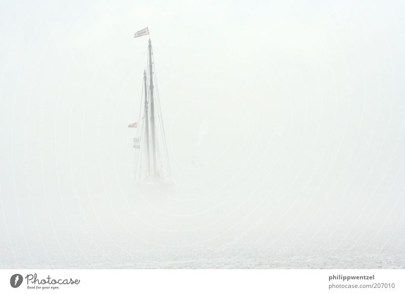 Ship in the fog Fog Navigation Sailboat Sailing ship Nature Colour photo Exterior shot Day Long shot Unidentified Concealed White Mast Invisible