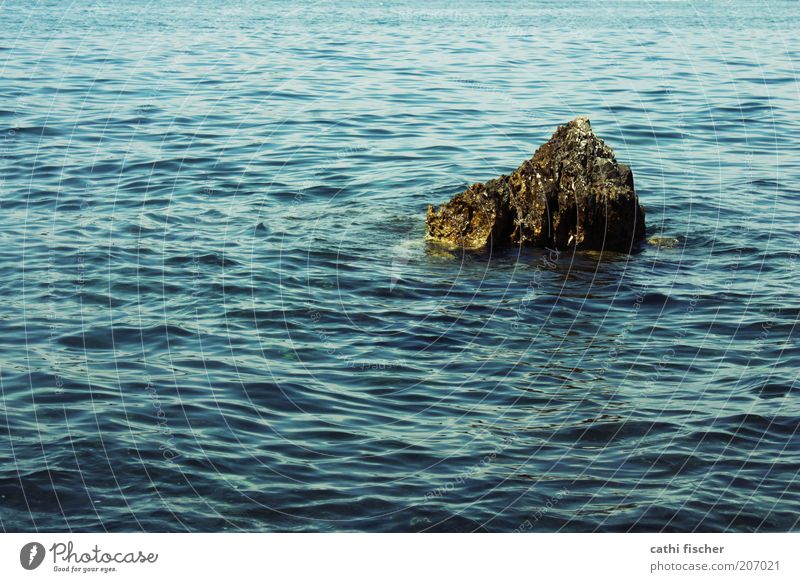 Rocks in the sea Summer Ocean Island Waves Water Beautiful weather Wet Blue Brown Contentment Loneliness Stone Croatia Colour photo Exterior shot Day