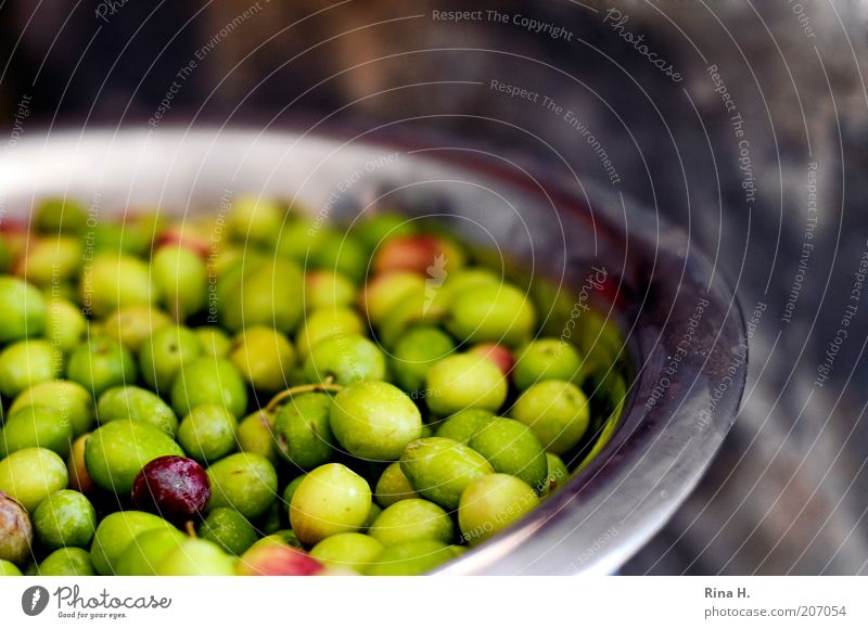 maverick Olive Nutrition Vegetarian diet Bowl Authentic Natural Green Colour photo Deserted Shallow depth of field Healthy Eating Vegan diet Day