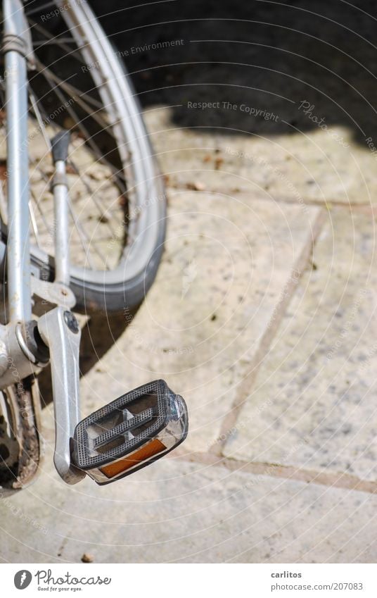 The air's out. Bicycle Stand Old Dirty Broken Silver Pedal Bicycle rack Spokes Wheel rim Reflector Chain Lean Colour photo Subdued colour Exterior shot