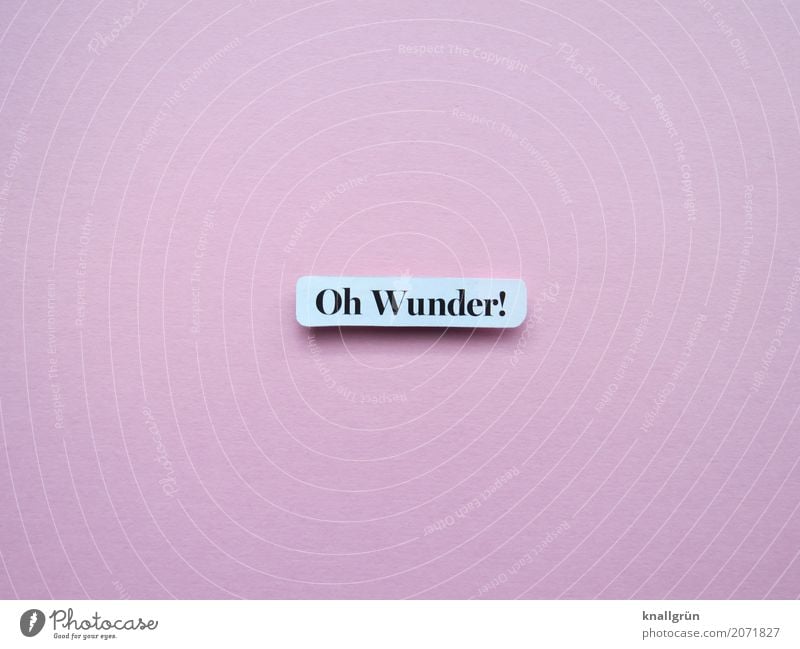 Oh wonder! Characters Signs and labeling Communicate Exceptional Pink Black White Emotions Joy Happy Joie de vivre (Vitality) Enthusiasm Curiosity Belief