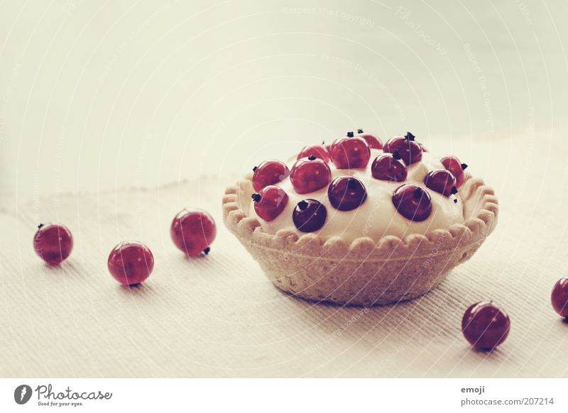 tart Fruit Dessert Small Tartlet Redcurrant Berries Colour photo Interior shot Studio shot Copy Space top Round Baked goods White Neutral Background Delicious