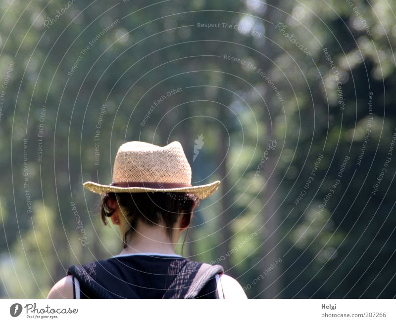 stroll... Trip Summer Human being Feminine Woman Adults Female senior Head Hair and hairstyles 1 Nature Beautiful weather Tree Park Clothing Hat Black-haired