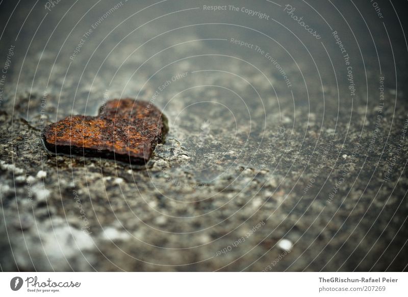 Iron Heart Metal Steel Rust Happy Contentment Love Infatuation Romance Beautiful Colour photo Detail Copy Space right Copy Space top Copy Space bottom Light