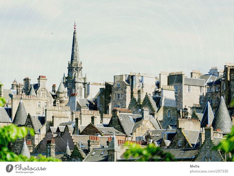 Over the rooftops of Scotland (2) Edinburgh Great Britain Europe Town Downtown Old town Skyline House (Residential Structure) Church Manmade structures Building