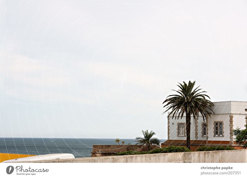 pirate's nest Vacation & Travel Tourism Trip Far-off places Freedom Summer Summer vacation Ocean Plant Exotic Palm tree Praia da Luz Portugal Village