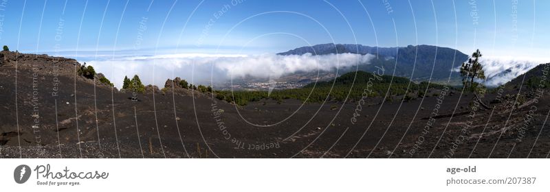 Lava landscape on La Palma Nature Landscape Sunlight Warmth Mountain Volcano Relaxation Esthetic Exceptional Blue Brown Gray Green White Power Loneliness