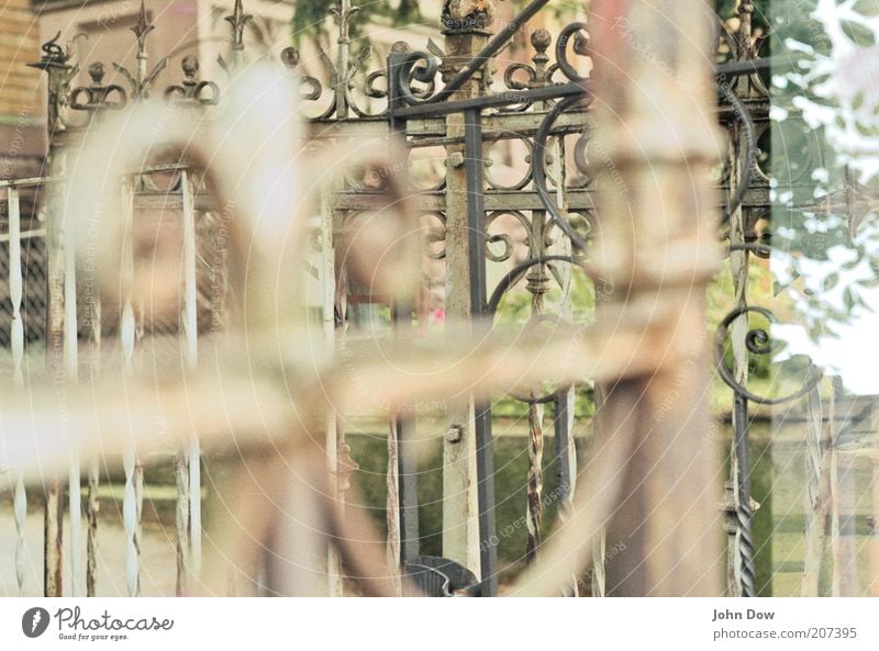 latticed Garden door Gate Grating Ornament Entrance Main gate Border Fence Double exposure Muddled Iron Blur Wrought iron Decoration Curlicue Iron gate