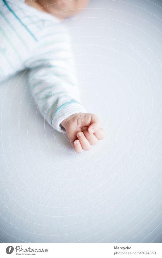 baby hand Human being Baby Hand 0 - 12 months Esthetic Uniqueness Happy Joie de vivre (Vitality) Ease Colour photo Interior shot Copy Space top